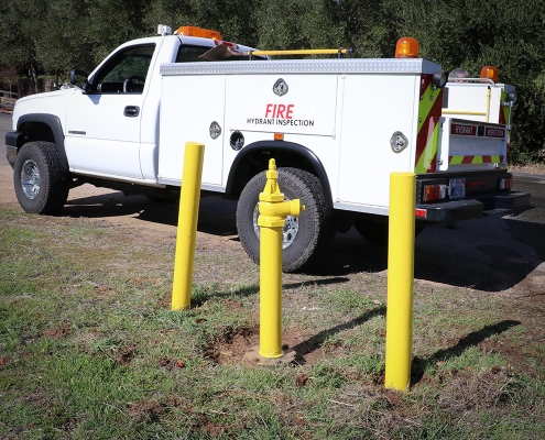 fire hydrant after paint