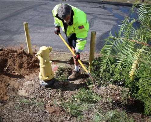 fire hydrant area cleanup