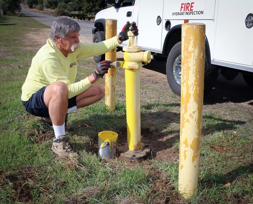 painting the fire hydrant